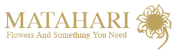 logo_MATAHARI