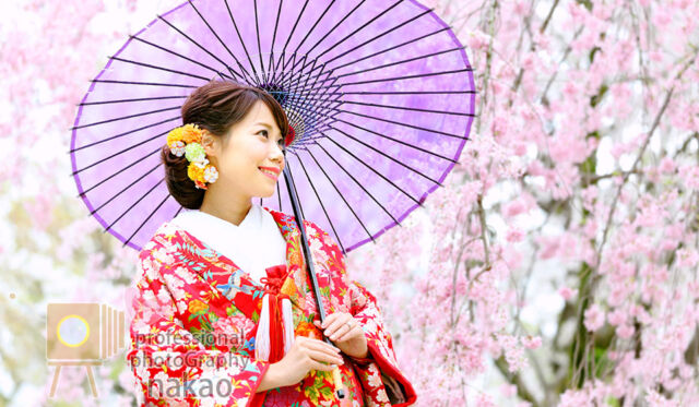 桜の開花時期にあわせたロケーション撮影が人気！　京都大学